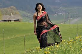 anushka shetty south actress in black saree
